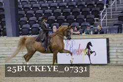 25BUCKEYE_07331 thumbnail