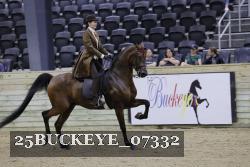 25BUCKEYE_07332 thumbnail