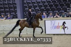 25BUCKEYE_07333 thumbnail