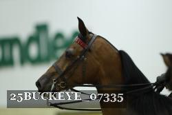 25BUCKEYE_07335 thumbnail