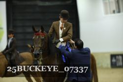 25BUCKEYE_07337 thumbnail