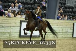 25BUCKEYE_07338 thumbnail