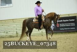 25BUCKEYE_07348 thumbnail