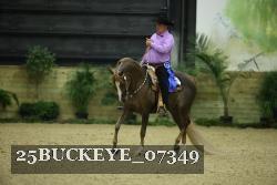 25BUCKEYE_07349 thumbnail