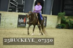 25BUCKEYE_07350 thumbnail