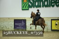25BUCKEYE_07356 thumbnail