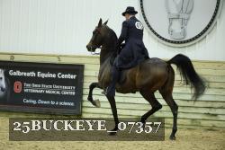25BUCKEYE_07357 thumbnail