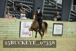 25BUCKEYE_07358 thumbnail