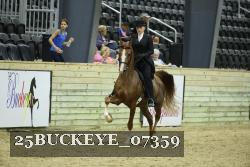 25BUCKEYE_07359 thumbnail