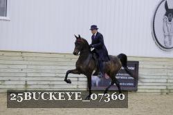25BUCKEYE_07360 thumbnail