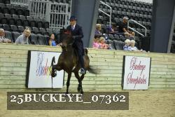 25BUCKEYE_07362 thumbnail