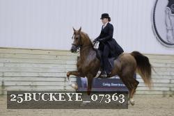 25BUCKEYE_07363 thumbnail