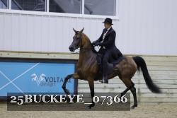 25BUCKEYE_07366 thumbnail