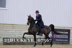 25BUCKEYE_07367 thumbnail
