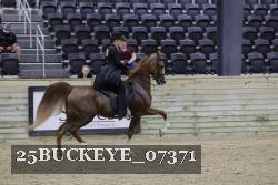 25BUCKEYE_07371 thumbnail