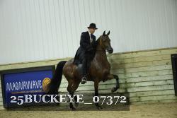 25BUCKEYE_07372 thumbnail