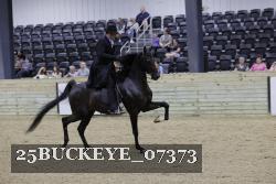 25BUCKEYE_07373 thumbnail