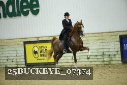 25BUCKEYE_07374 thumbnail