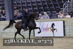 25BUCKEYE_07375 thumbnail
