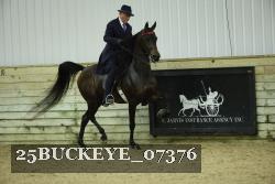 25BUCKEYE_07376 thumbnail