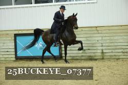 25BUCKEYE_07377 thumbnail