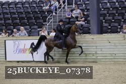 25BUCKEYE_07378 thumbnail