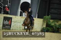 25BUCKEYE_07385 thumbnail