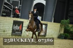 25BUCKEYE_07386 thumbnail
