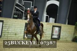 25BUCKEYE_07387 thumbnail
