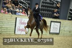 25BUCKEYE_07388 thumbnail