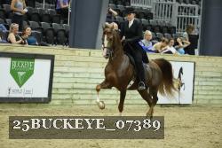 25BUCKEYE_07389 thumbnail