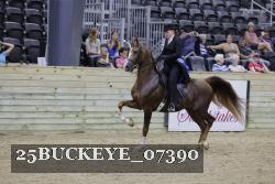 25BUCKEYE_07390 thumbnail