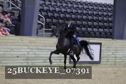 25BUCKEYE_07391 thumbnail