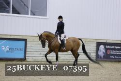 25BUCKEYE_07395 thumbnail