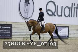 25BUCKEYE_07403 thumbnail