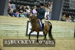 25BUCKEYE_07425 thumbnail