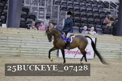 25BUCKEYE_07428 thumbnail
