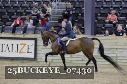25BUCKEYE_07430 thumbnail
