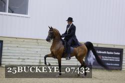 25BUCKEYE_07432 thumbnail
