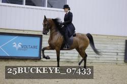 25BUCKEYE_07433 thumbnail