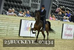 25BUCKEYE_07434 thumbnail
