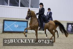 25BUCKEYE_07437 thumbnail