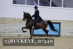 25BUCKEYE_07440 thumbnail