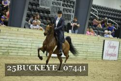 25BUCKEYE_07441 thumbnail