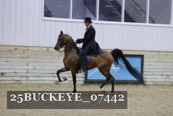 25BUCKEYE_07442 thumbnail