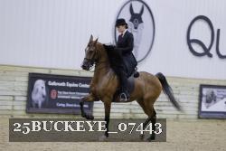 25BUCKEYE_07443 thumbnail