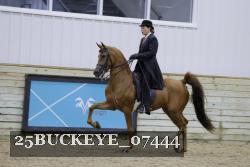 25BUCKEYE_07444 thumbnail