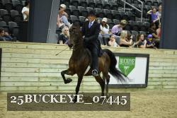 25BUCKEYE_07445 thumbnail