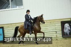 25BUCKEYE_07446 thumbnail