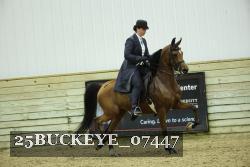25BUCKEYE_07447 thumbnail